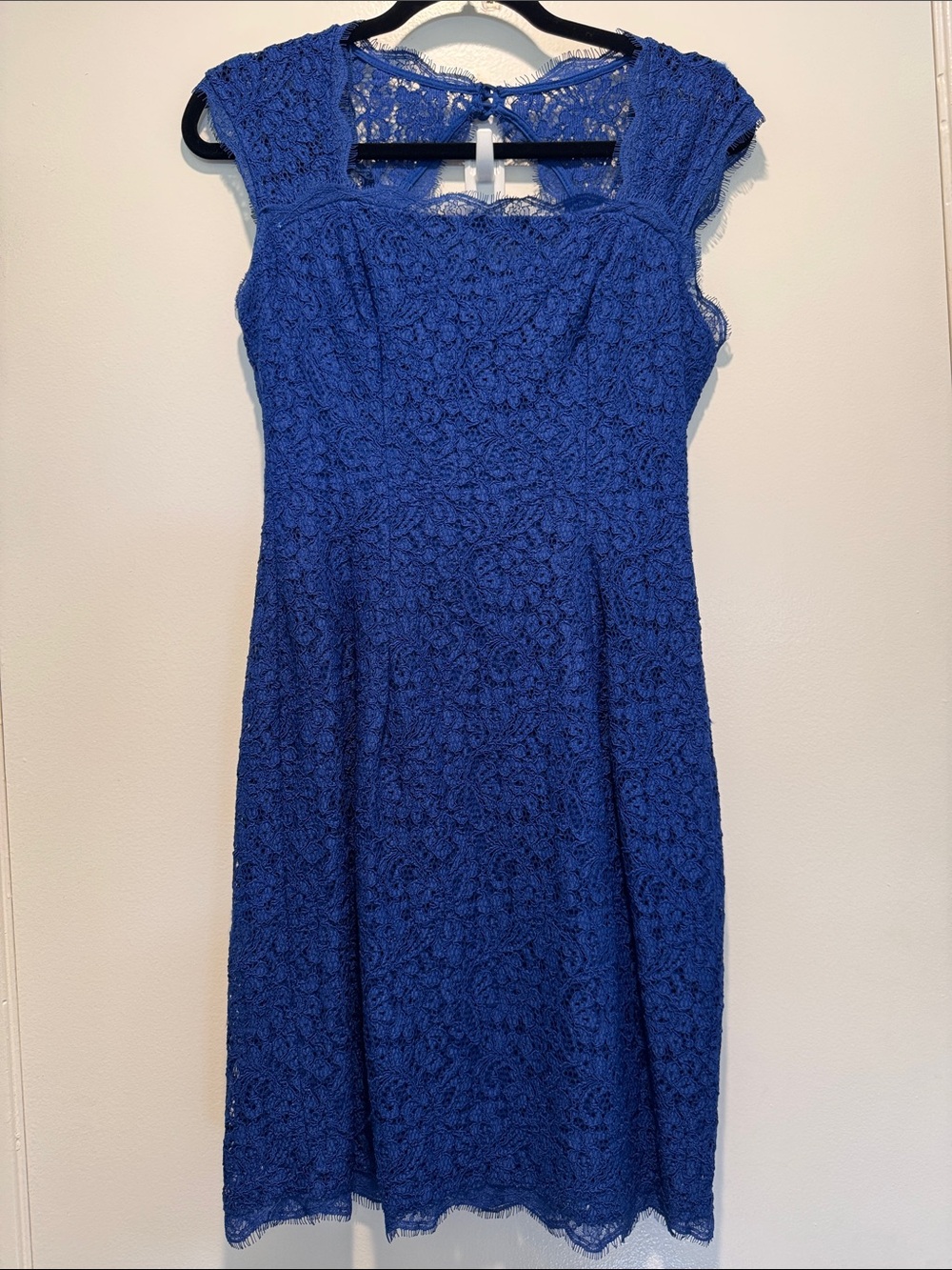 Adrianna Papell Royal Blue Lace Midi Dress